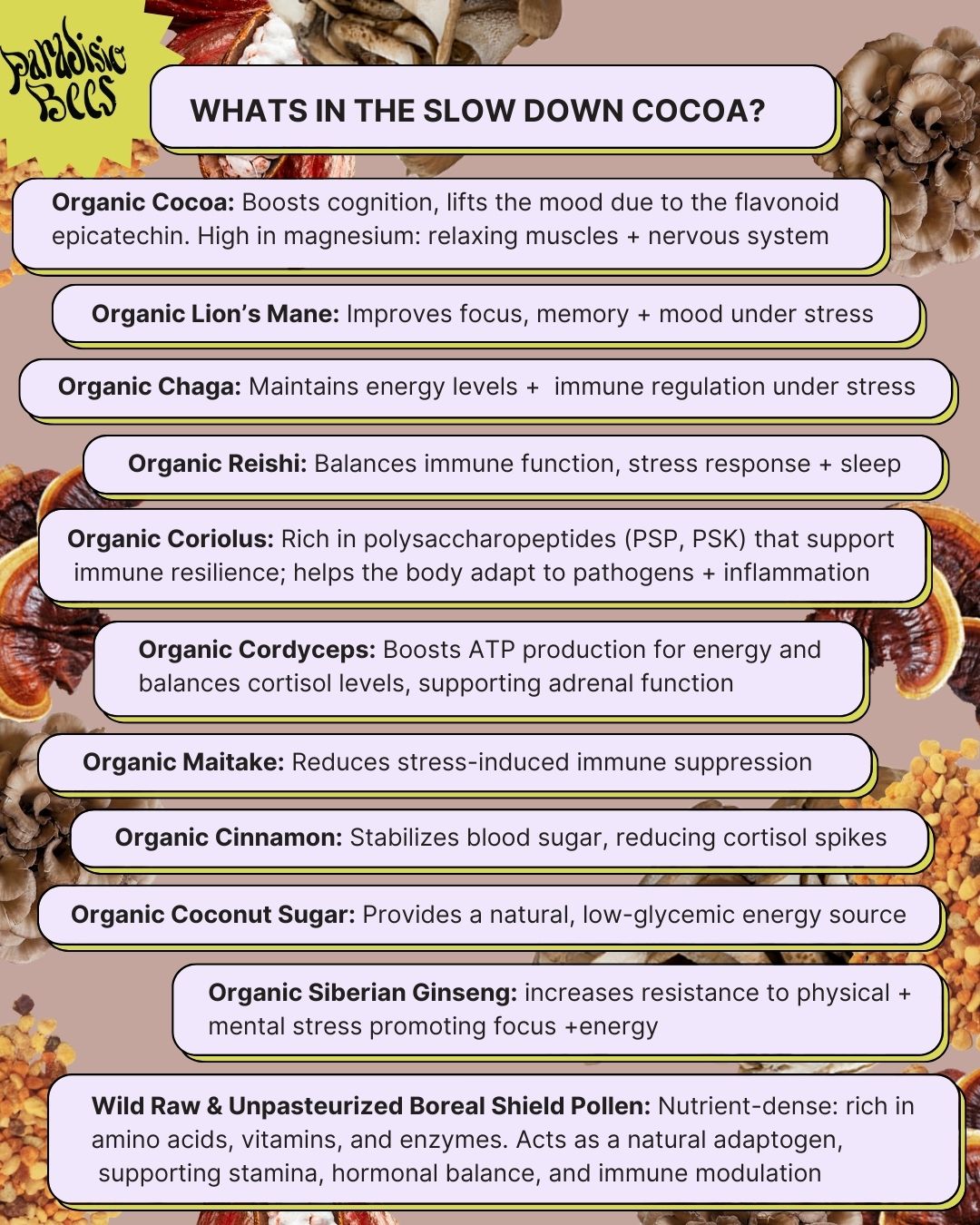 SLOW DOWN MUSHROOM COCOA