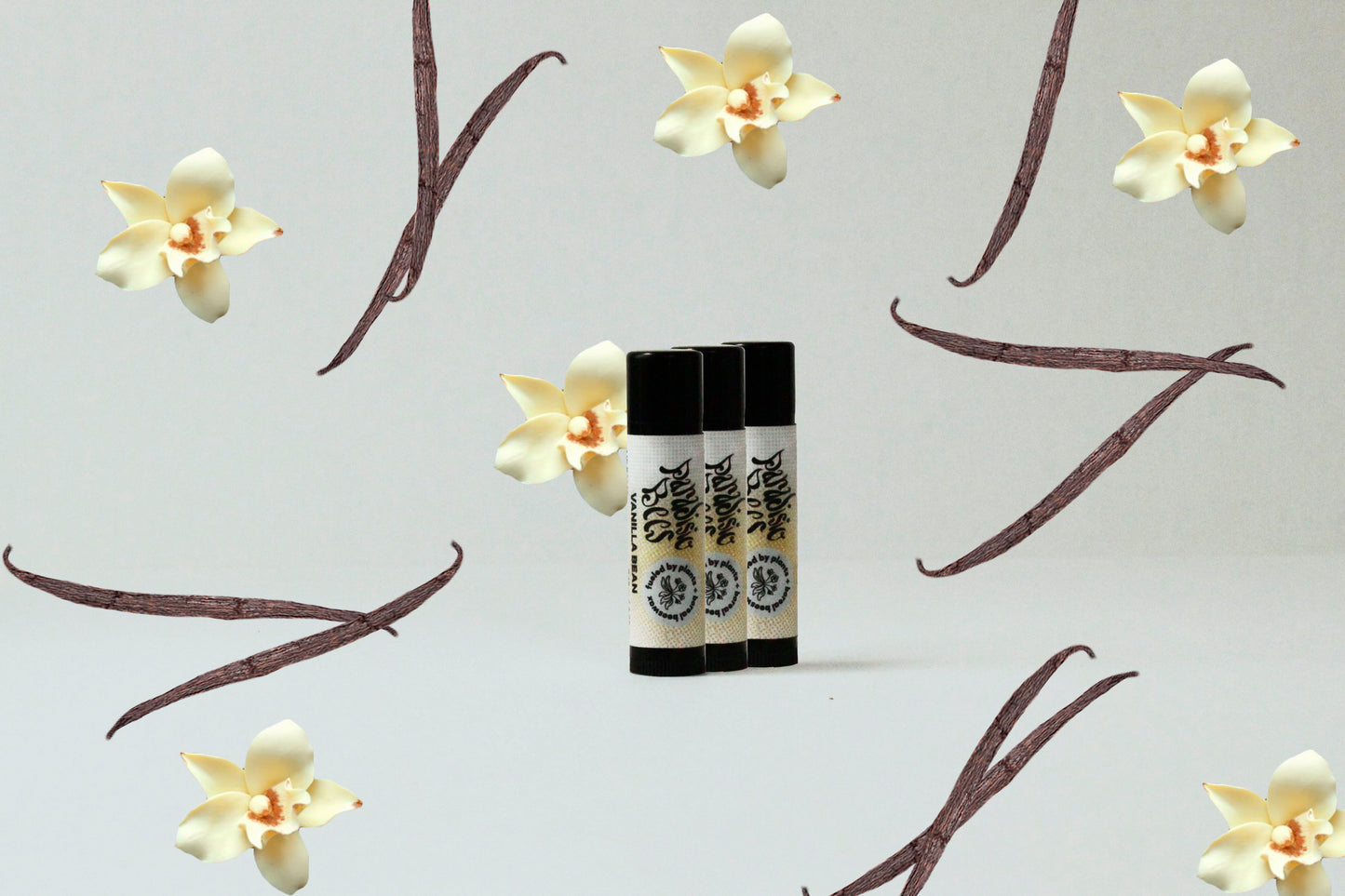 LIP BALM VANILLA BEAN