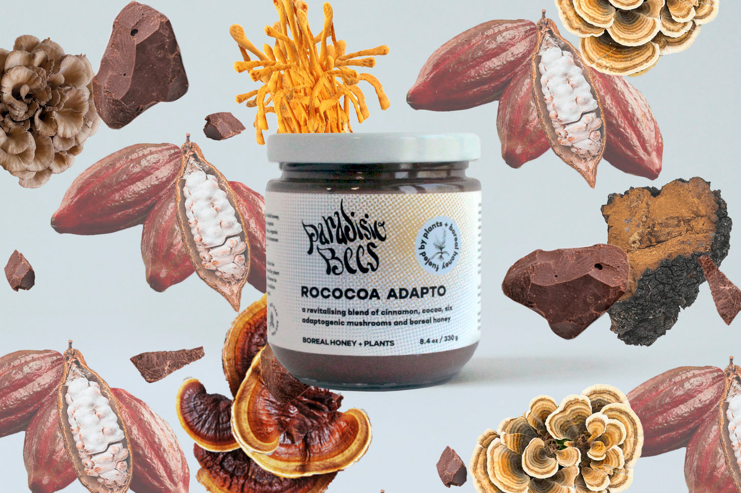 ROCOCOA ADAPTO