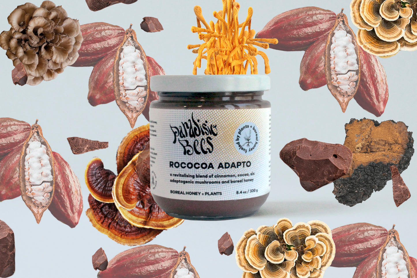 ROCOCOA ADAPTO