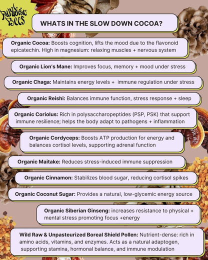 SLOW DOWN MUSHROOM COCOA