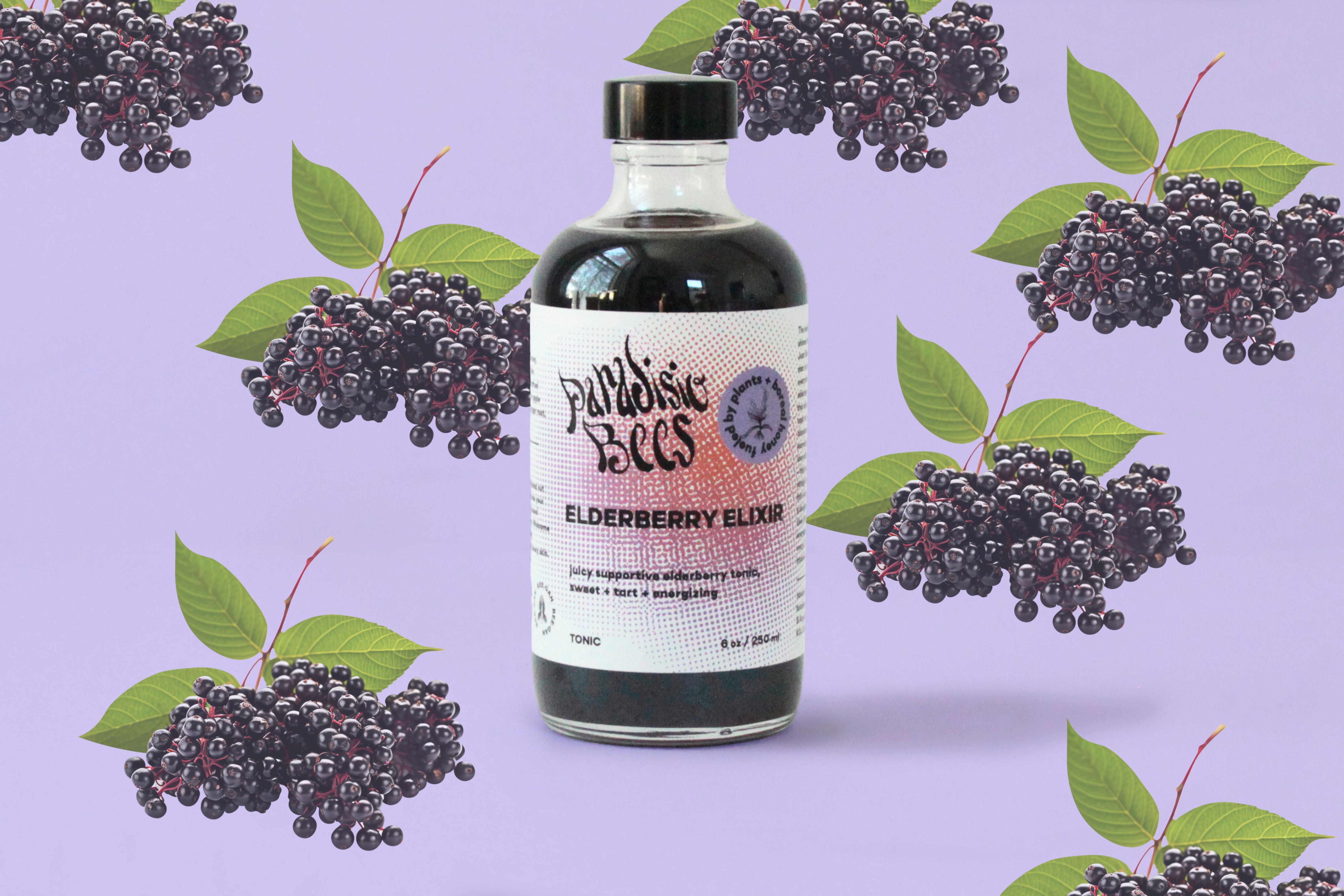 ELDERBERRY ELIXIR – Paradisio Bees